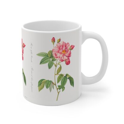 A lovely two colored Rosa Mundi rose on a white porcelain cup - handle right