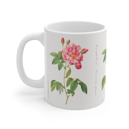 A lovely two colored Rosa Mundi rose on a white porcelain cup - handle left